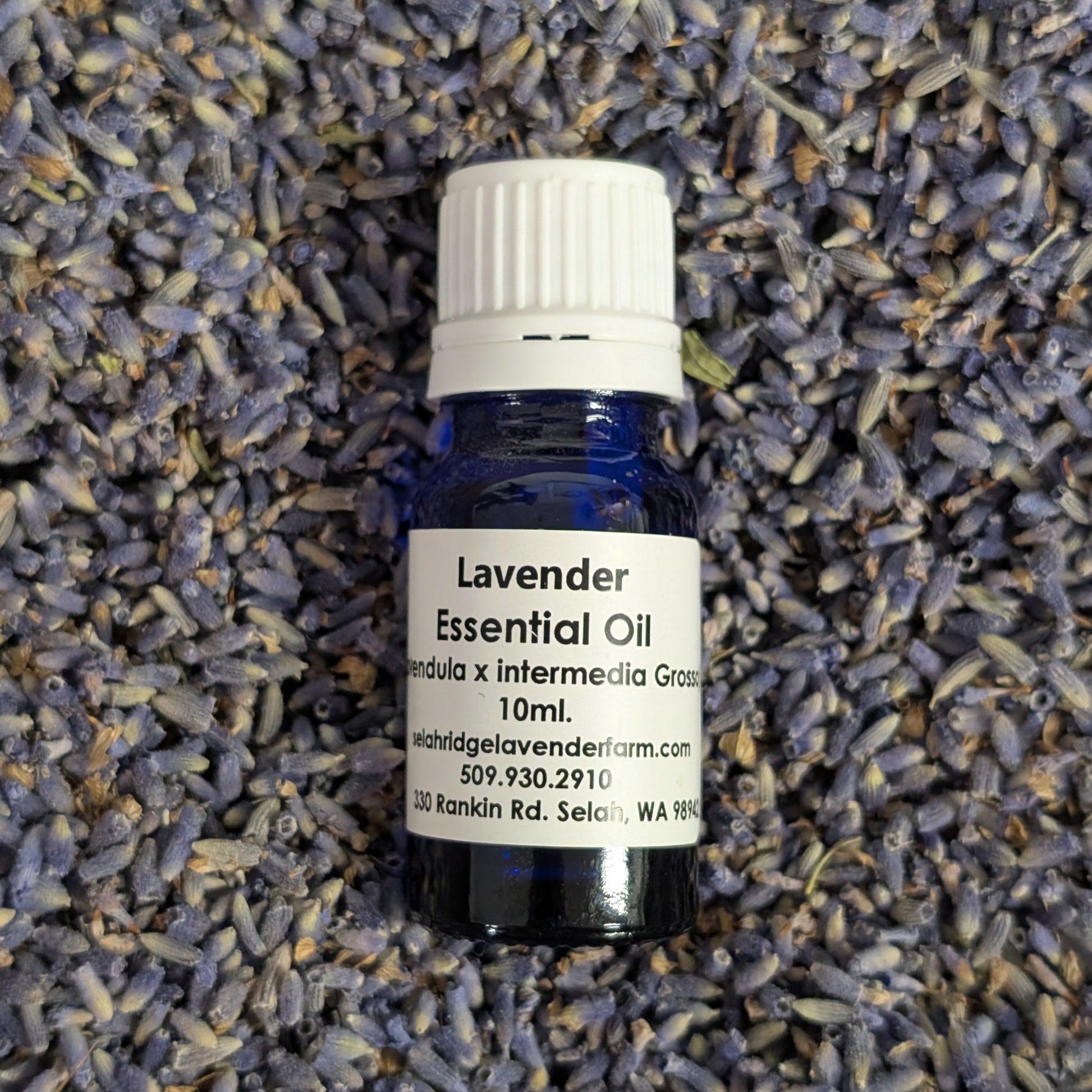 Bottle of lavender essential oil on a bed of lavender flowers