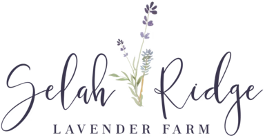 https://selahridgelavenderfarm.com/