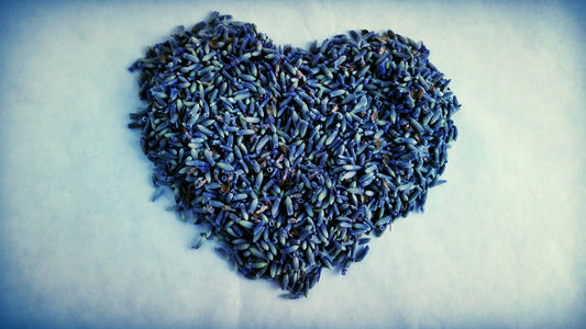 Free Shipping February! (Orders over $25.00)